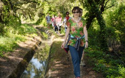 Marche Consciente ou Balade Sophro Avril 2026