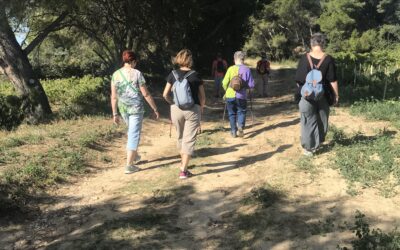 Marche Consciente ou Balade Sophro